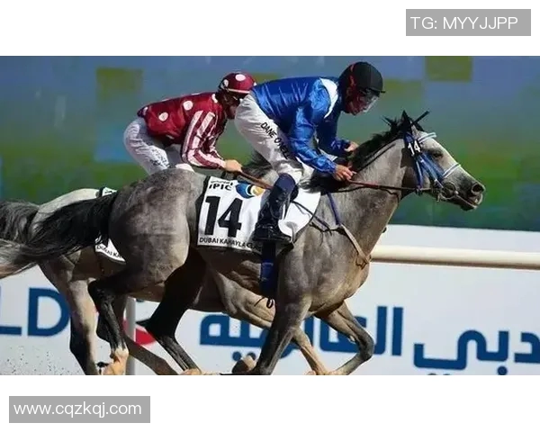 深圳篮球队的比赛经验揭秘:从训练到赛场的全方位解析 深圳篮球队的比赛经验揭秘:从训练到赛场的全方位解析