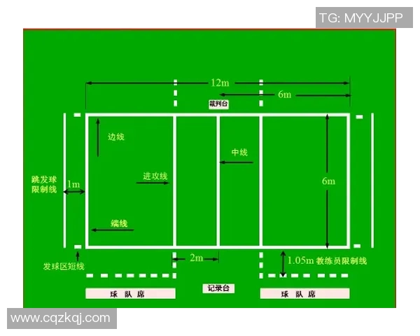 深圳排球队包夹战术解析与应用探讨