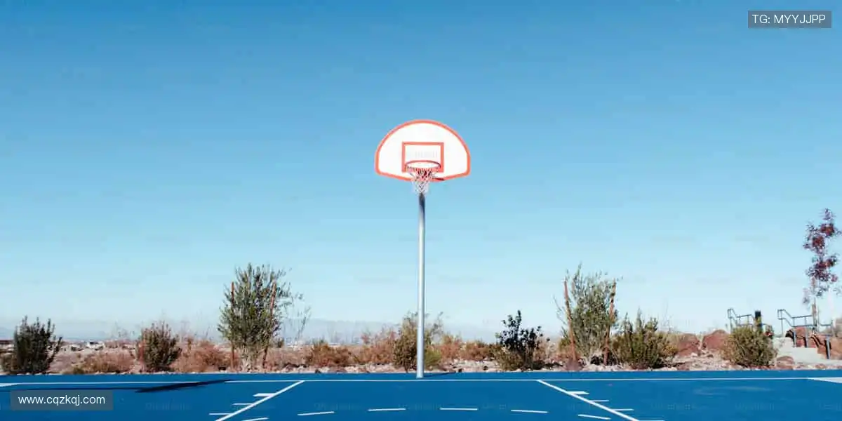 把热爱穿在身上!👕 限量周边,让你的支持永不褪色!