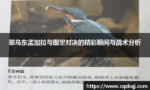 JN江南体育官网